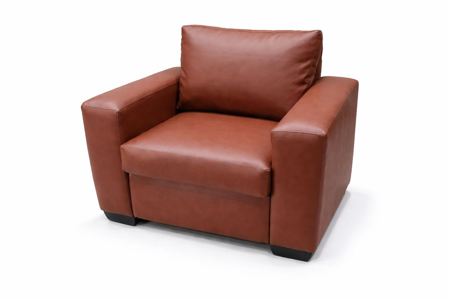 Manhattan Leather Couch Sofa